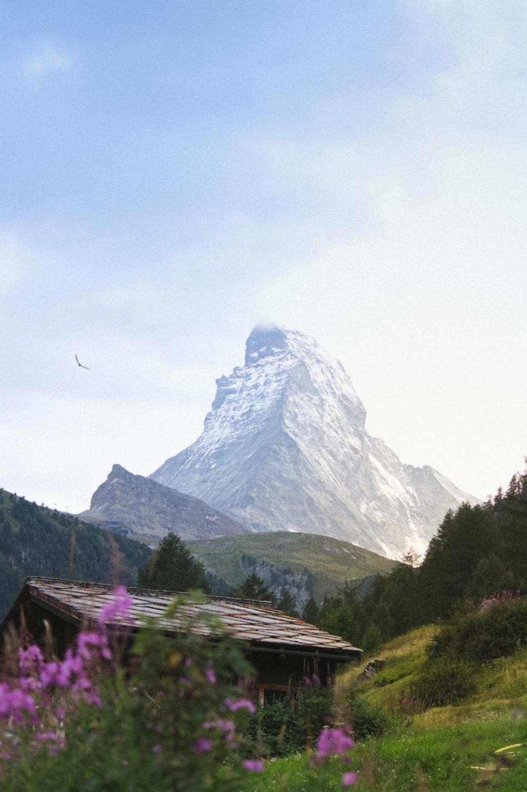 Studio Wolli - Stylish & Central - Steps To Matterhorn Gondola ツェルマット エクステリア 写真